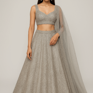 Silver Embroidered Lehenga Set